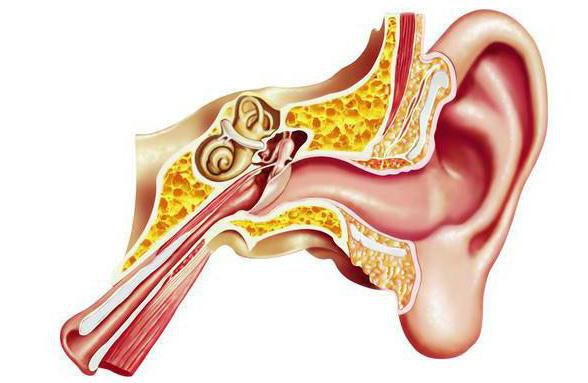 timpanoplastika
